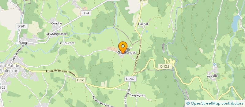 localisation de l'entreprise MONSIEUR BERNARD MARTIN  CRAPONNE-SUR-ARZON