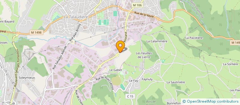 localisation de l'entreprise MONSIEUR BERNARD NIELACNY à LA TALAUDIERE