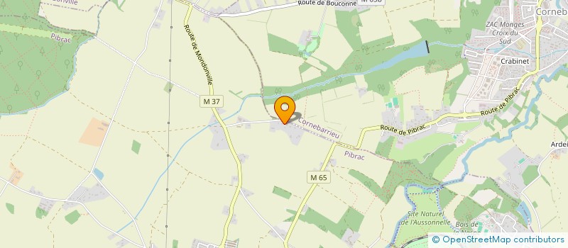 localisation de l'entreprise MONSIEUR BERNARD PELICOT  PIBRAC