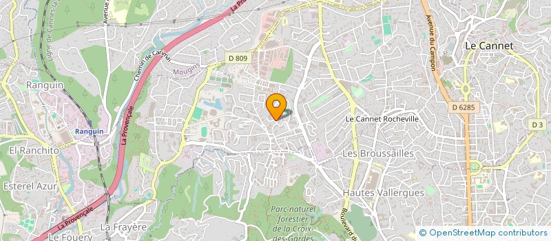 localisation de l'entreprise MONSIEUR BERNARD PION à LE CANNET