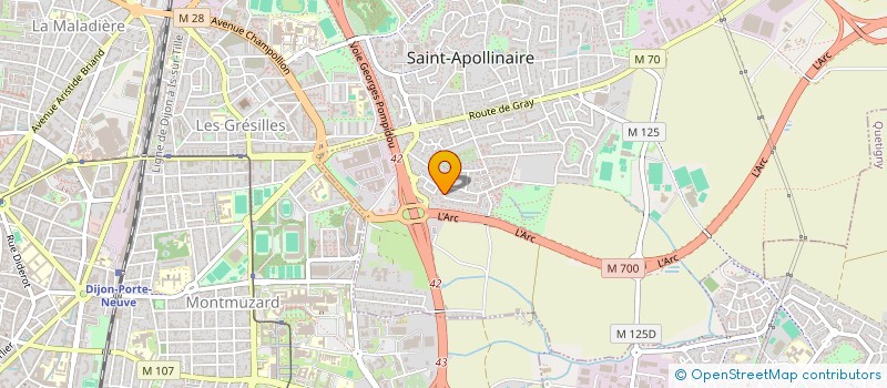 localisation de l'entreprise MONSIEUR BERNARD RAIMONDI  SAINT-APOLLINAIRE