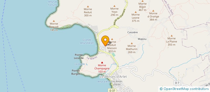 localisation de l'entreprise MONSIEUR BERNARD RAMAEL  LES ANSES-D'ARLET