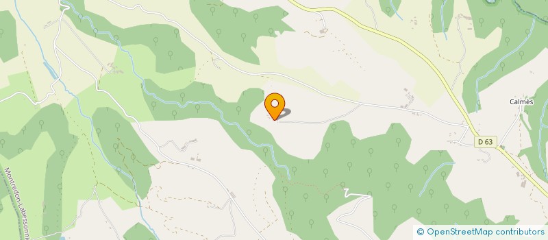 localisation de l'entreprise MONSIEUR BERNARD RIVAULT  MONTREDON-LABESSONNIE