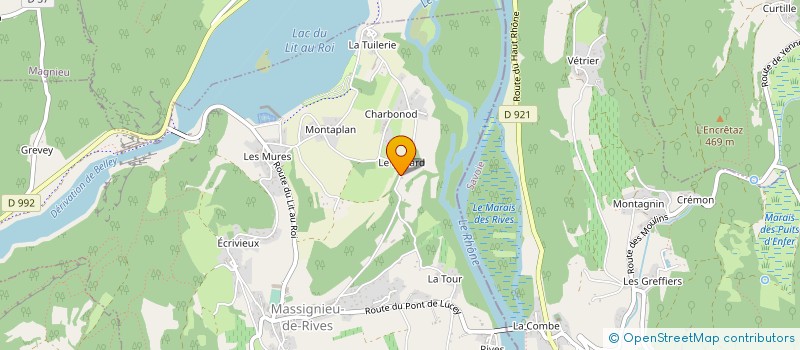 localisation de l'entreprise MONSIEUR BERNARD SOUMAILLE  MASSIGNIEU-DE-RIVES