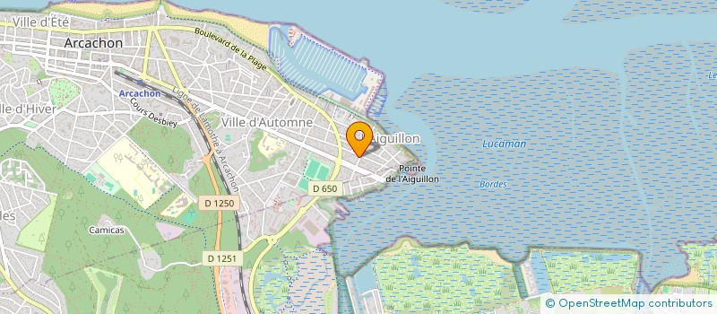 localisation de l'entreprise MONSIEUR BERNARD TESSIER  ARCACHON