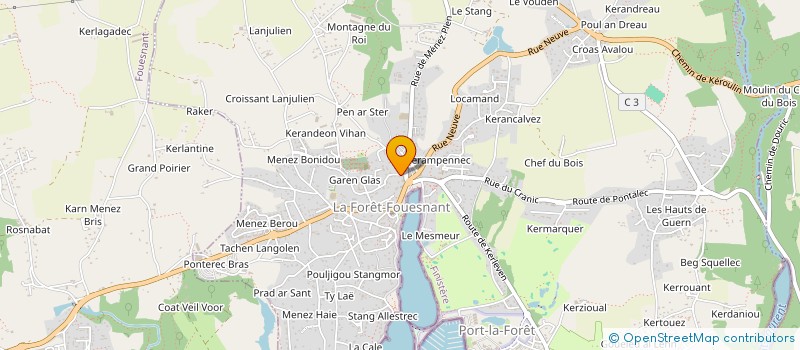 localisation de l'entreprise MONSIEUR BERNARD THERENE  LA FORET-FOUESNANT