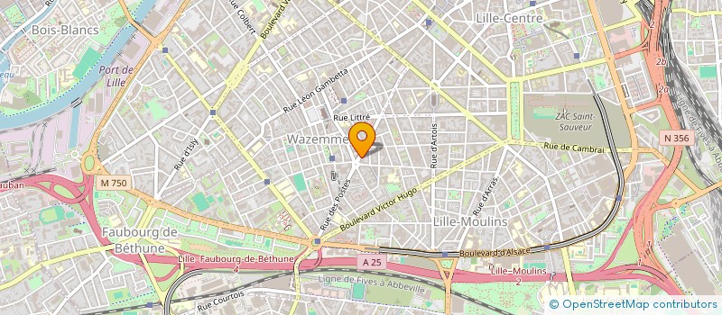 localisation de l'entreprise MONSIEUR BERNARD THOMAS à LILLE