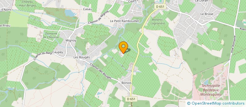 localisation de l'entreprise MONSIEUR BERNARD THOMASSIN  LEOGNAN