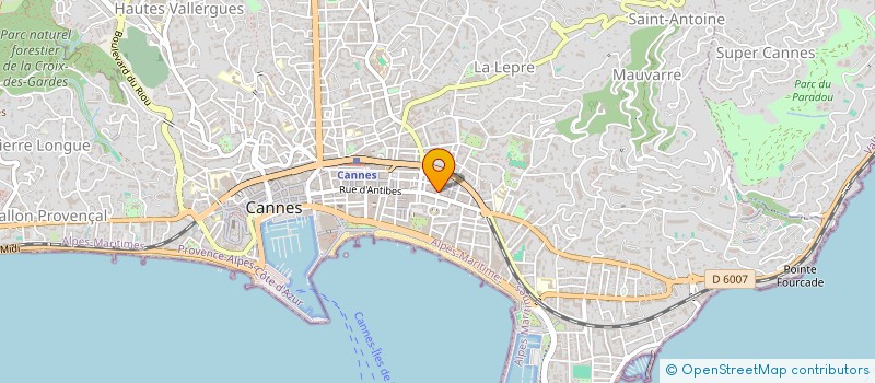 localisation de l'entreprise MONSIEUR BERNARD THOMASSON à CANNES
