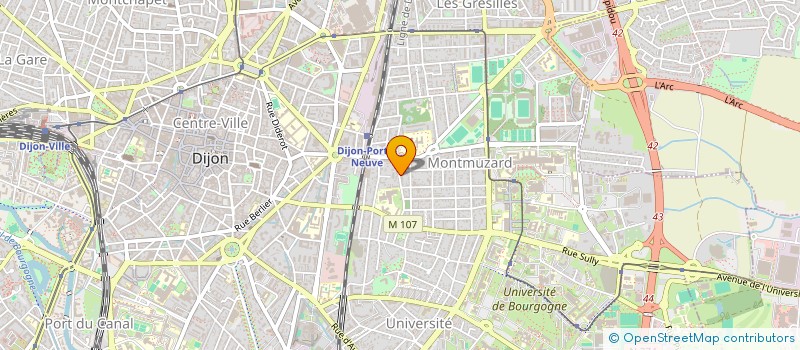 localisation de l'entreprise MONSIEUR BERNARD VERNAY à DIJON