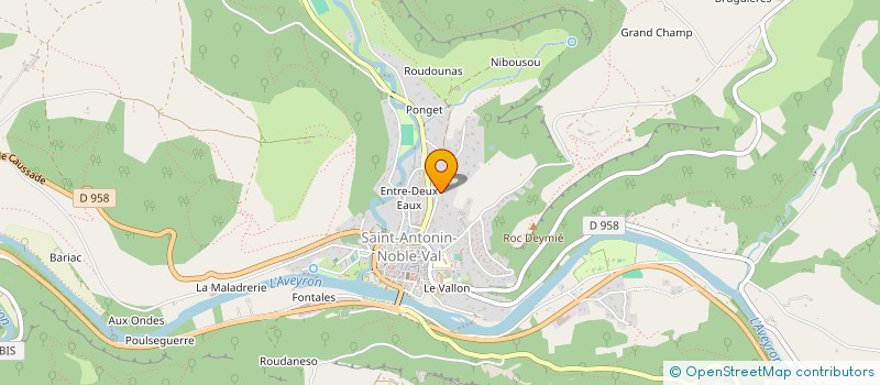 localisation de l'entreprise MONSIEUR BERNARDUS KRUSEMANN  SAINT-ANTONIN-NOBLE-VAL