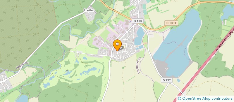 localisation de l'entreprise MONSIEUR BERNI LEININGER  SOUFFLENHEIM