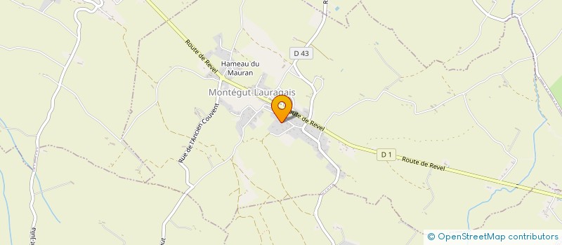 localisation de l'entreprise MONSIEUR BERTRAND CHANFREAU  MONTEGUT-LAURAGAIS