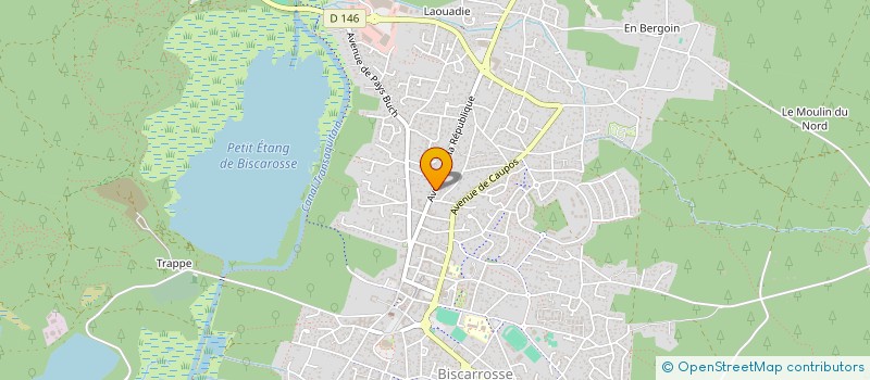 localisation de l'entreprise MONSIEUR BERTRAND DANE  BISCARROSSE