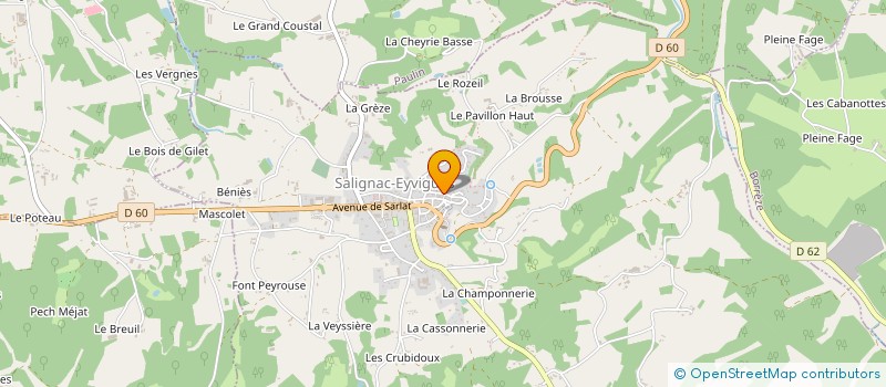 localisation de l'entreprise MONSIEUR BERTRAND DE SALIGNAC FENELON à SALIGNAC-EYVIGUES