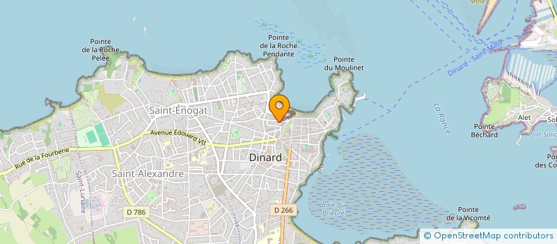localisation de l'entreprise MONSIEUR BERTRAND LE GALL  DINARD