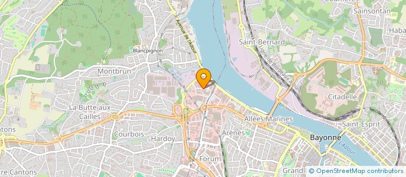 localisation de l'entreprise MONSIEUR BERTRAND MASSIE  ANGLET