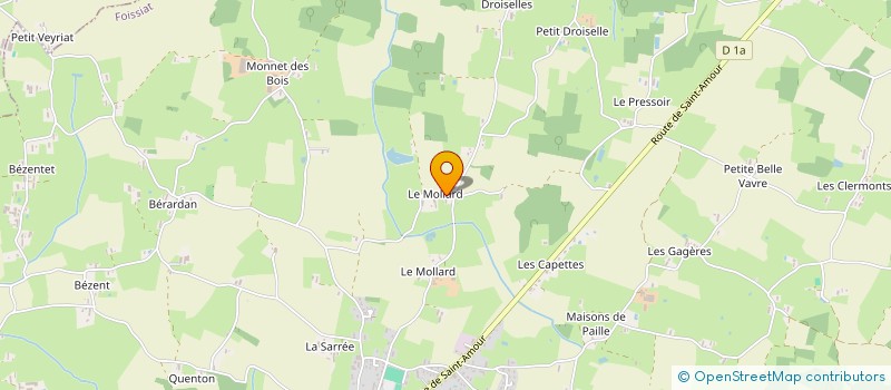 localisation de l'entreprise MONSIEUR BERTRAND NOMEZINE  FOISSIAT