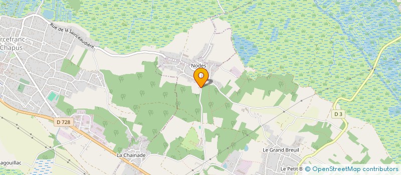 localisation de l'entreprise MONSIEUR BERTRAND PIQUES  MARENNES-HIERS-BROUAGE