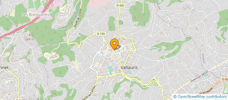 localisation de l'entreprise MONSIEUR BESSAM BEN ISMAIL à VALLAURIS