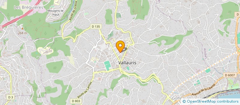 localisation de l'entreprise MONSIEUR BEYHAN HYUSEIN  VALLAURIS