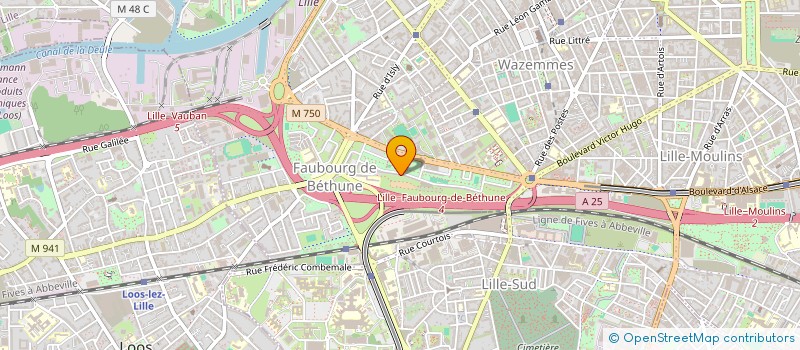 localisation de l'entreprise MONSIEUR BI ALIDOU SAIDOU HODI à LILLE