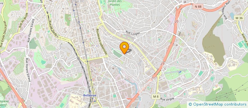 localisation de l'entreprise MONSIEUR BILAL AICHOUR  SAINT-ETIENNE