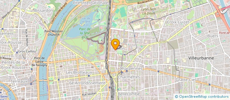 localisation de l'entreprise MONSIEUR BILAL NEMER  VILLEURBANNE