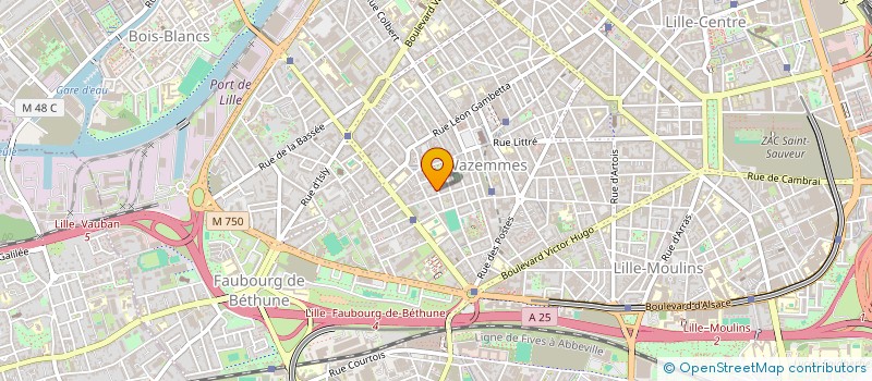 localisation de l'entreprise MONSIEUR BILAL SENDID  LILLE