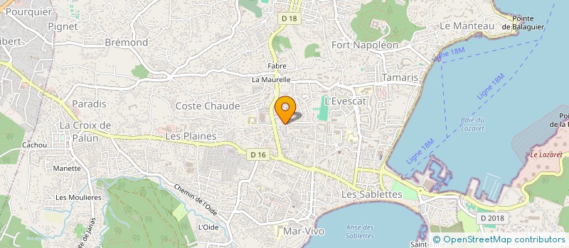 localisation de l'entreprise MONSIEUR BILEL DRIDI à LA SEYNE-SUR-MER