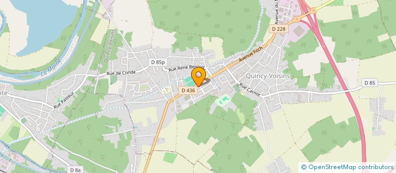 localisation de l'entreprise MONSIEUR BILLAL BENAHMED  QUINCY-VOISINS