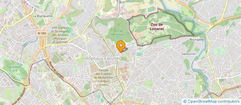 localisation de l'entreprise MONSIEUR BILLY LUONG à MONTPELLIER