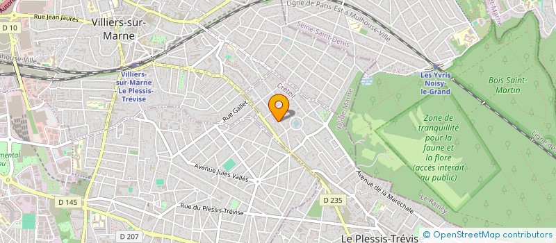 localisation de l'entreprise MONSIEUR BIN SHEN  LE PLESSIS-TREVISE