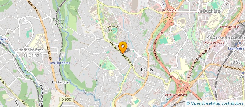 localisation de l'entreprise MONSIEUR BISHNU DAS  ECULLY