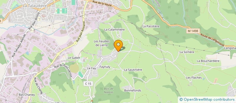 localisation de l'entreprise MONSIEUR BLAISE MAMOUM  SAINT-JEAN-BONNEFONDS