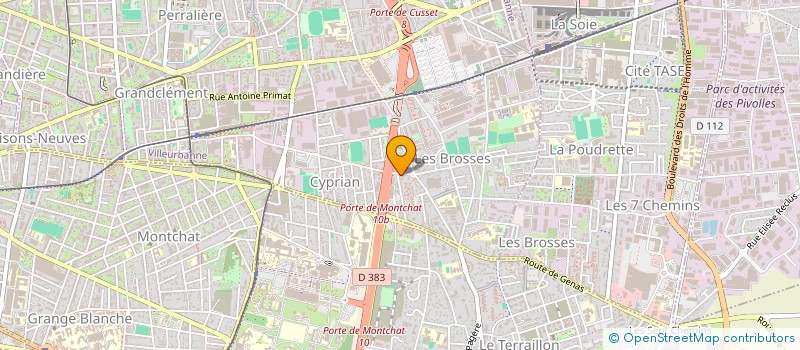 localisation de l'entreprise MONSIEUR BLEK  VILLEURBANNE