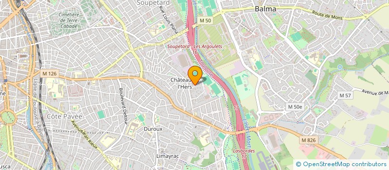 localisation de l'entreprise MONSIEUR BLEYEL BLEYEL  TOULOUSE