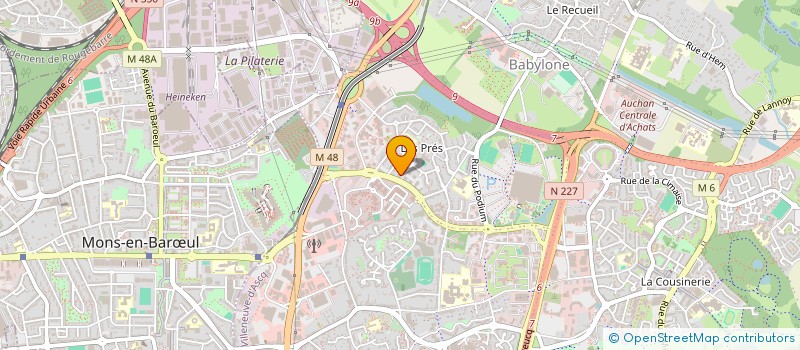 localisation de l'entreprise MONSIEUR BORATH SAR  VILLENEUVE-D'ASCQ