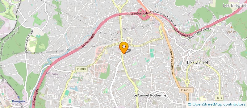 localisation de l'entreprise MONSIEUR BORHEN ABDELJELIL à LE CANNET