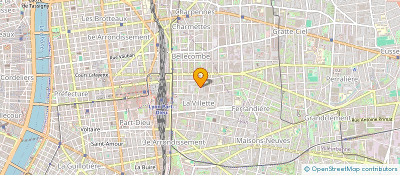 localisation de l'entreprise MONSIEUR BORIS BA  LYON