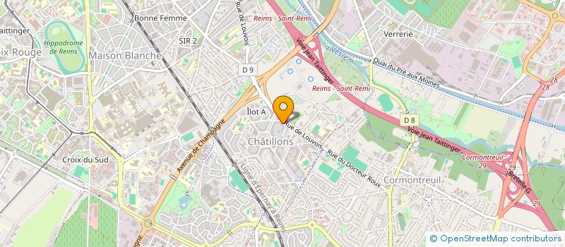 localisation de l'entreprise MONSIEUR BORIS MASSENGO-TIASSE  REIMS