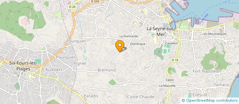 localisation de l'entreprise MONSIEUR BORIS NICOLINO  LA SEYNE-SUR-MER