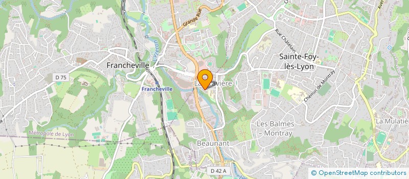 localisation de l'entreprise MONSIEUR BORIS PAVLIOUTCHENKO  SAINTE-FOY-LES-LYON