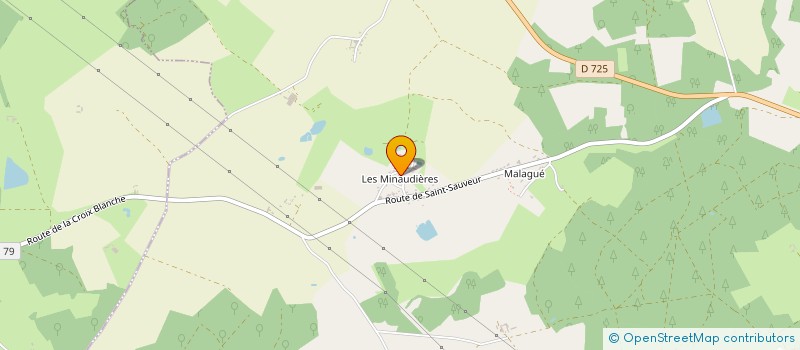 localisation de l'entreprise MONSIEUR BORISLAV STEFANOV  COUSSAY-LES-BOIS