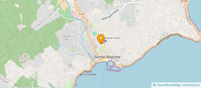 localisation de l'entreprise MONSIEUR BORTOLO ZORZI à SAINTE-MAXIME