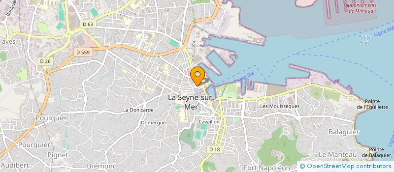 localisation de l'entreprise MONSIEUR BOUALAM BOURAS  LA SEYNE-SUR-MER