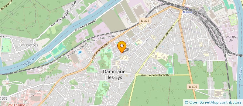 localisation de l'entreprise MONSIEUR BOUBAKAR MADJIDI à DAMMARIE-LES-LYS