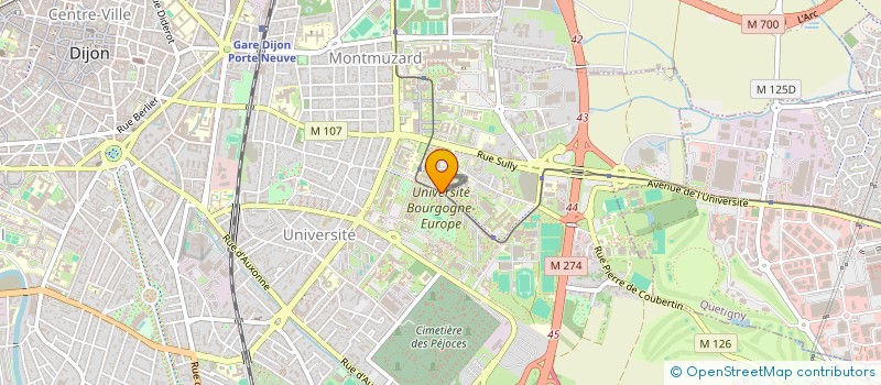 localisation de l'entreprise MONSIEUR BOUBKEUR TERKI  DIJON