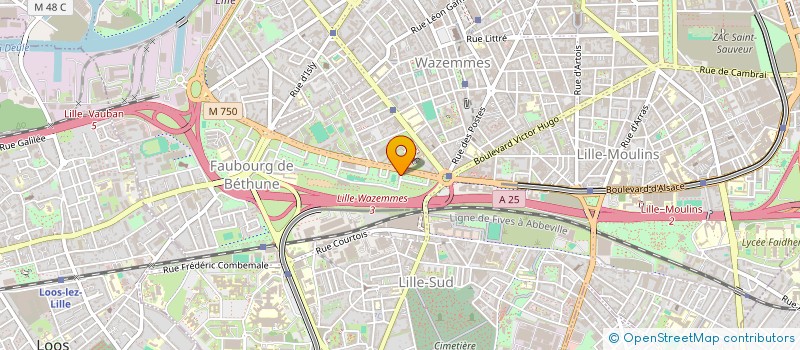 localisation de l'entreprise MONSIEUR BOUMEDIENE OUALI à LILLE