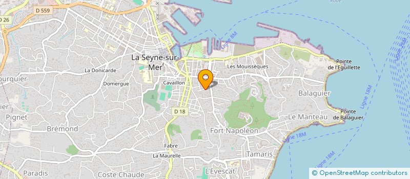 localisation de l'entreprise MONSIEUR BRAHIM BENHIR à LA SEYNE-SUR-MER